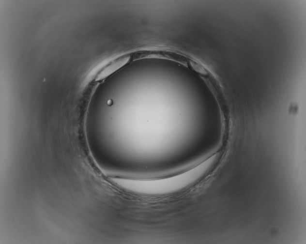 X0000111661311200907171559