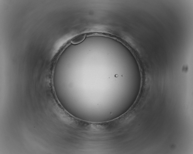 X0000111661312200907171559