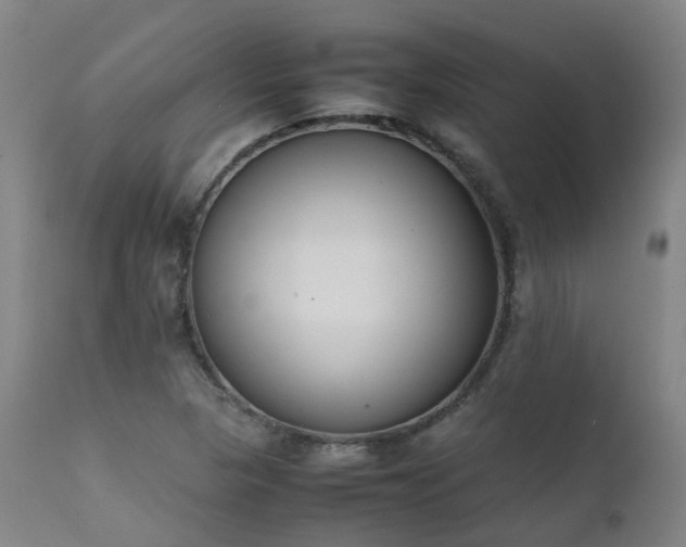 X0000111661313200907171559