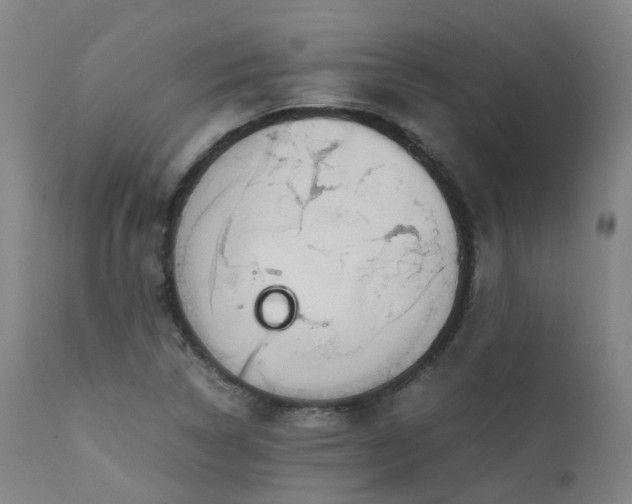 X0000111661314200907171559