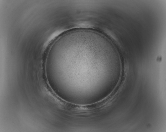 X0000111661315200907171559