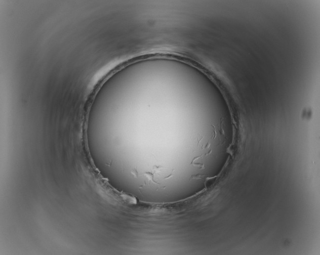 X0000111661316200907171559
