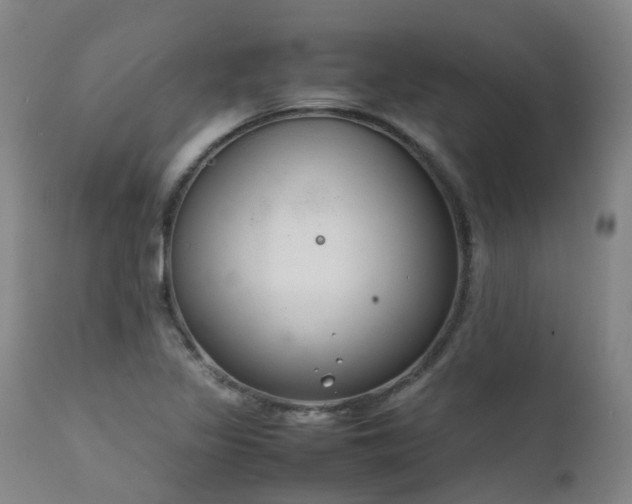 X0000111661317200907171559