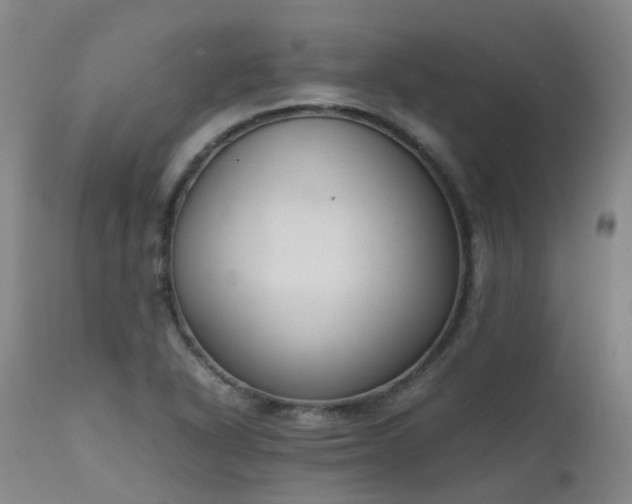 X0000111661318200907171559