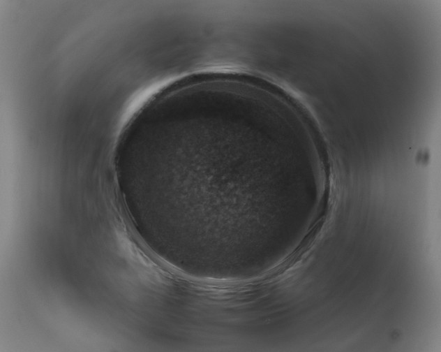 X0000111661319200907171559