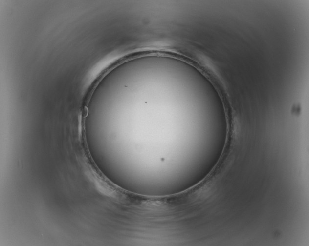 X0000111661320200907171559