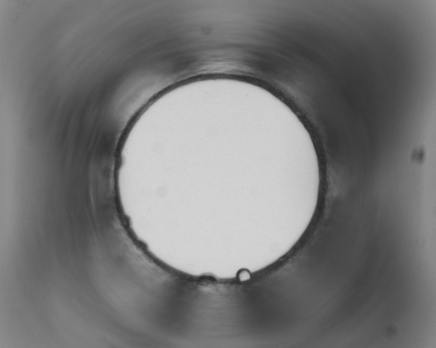X0000111661322200907171600