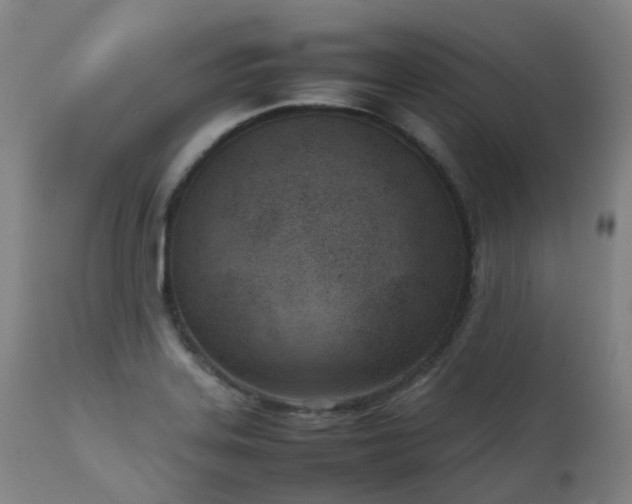 X0000111661323200907171600