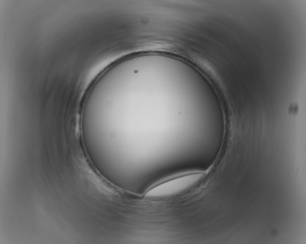 X0000111661324200907171600
