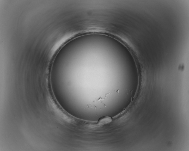 X0000111661325200907171600
