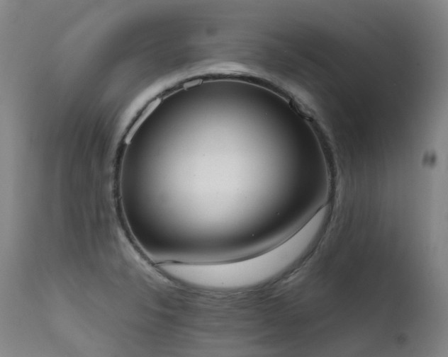 X0000111661326200907171600