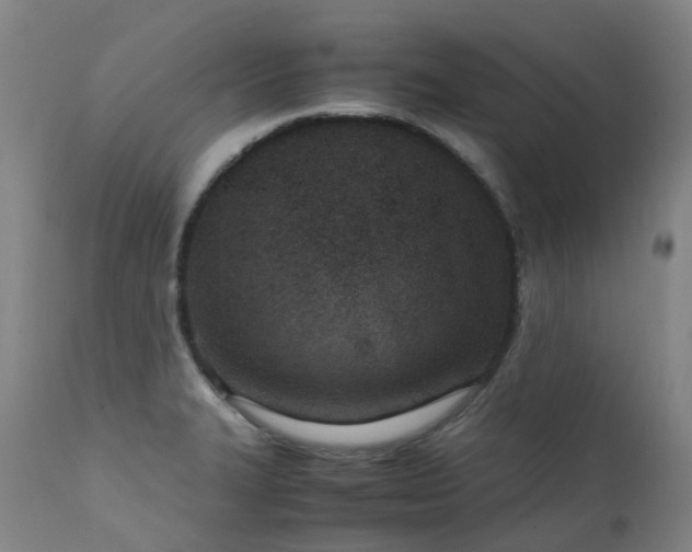 X0000111661327200907171600
