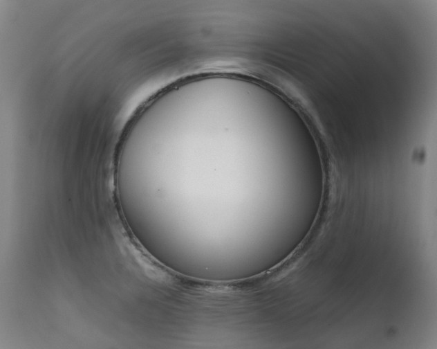 X0000111661328200907171600