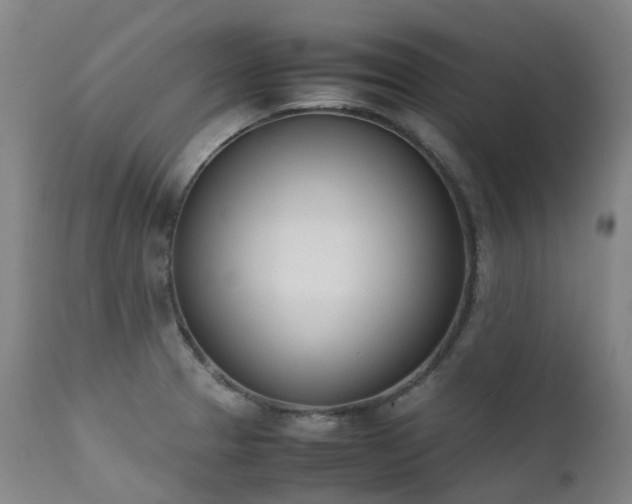 X0000111661329200907171600