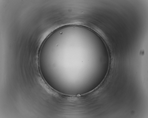 X0000111661332200907171600