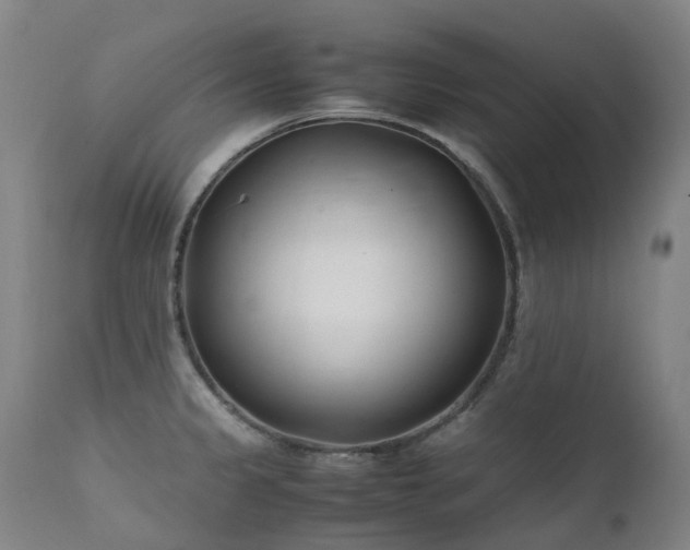 X0000111661333200907171600
