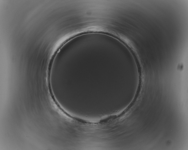 X0000111661334200907171600