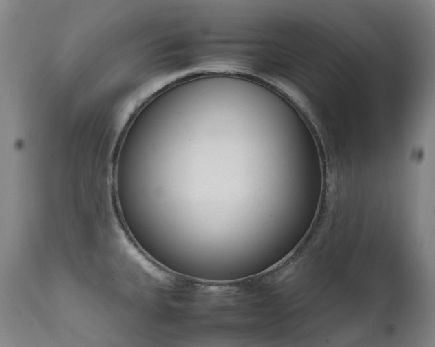 X0000111661335200907171600