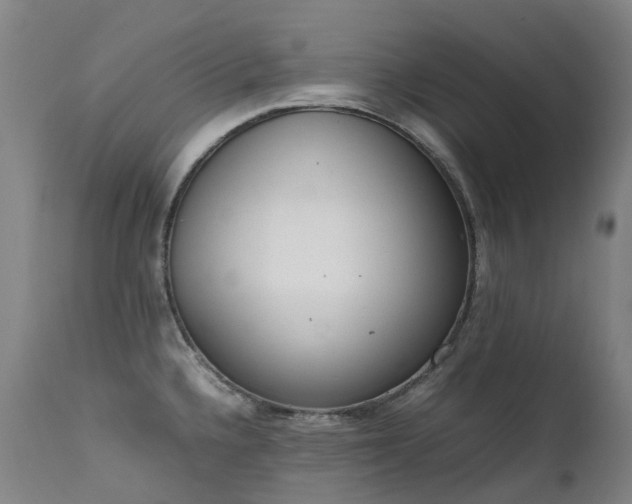 X0000111661336200907171600