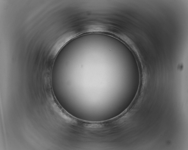 X0000111661337200907171600
