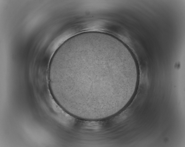 X0000111661338200907171600