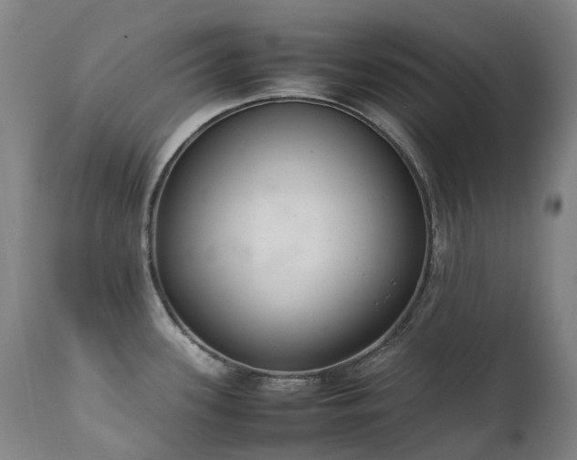 X0000111661339200907171600