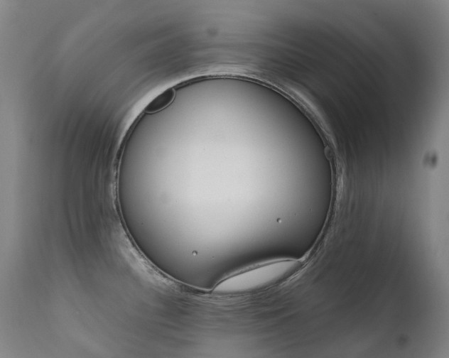 X0000111661340200907171600