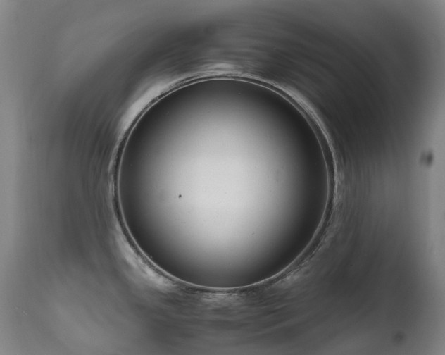 X0000111661341200907171600
