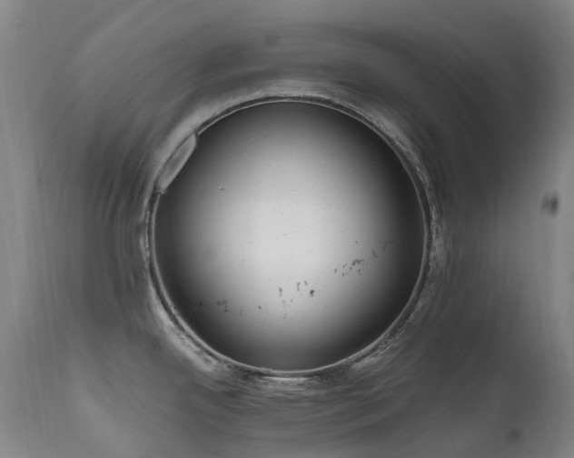 X0000111661342200907171600