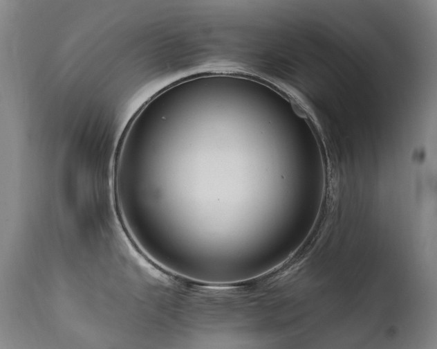 X0000111661343200907171600