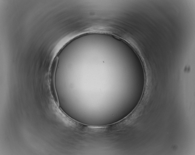 X0000111661344200907171600