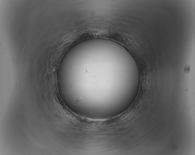 X0000111661345200907171559