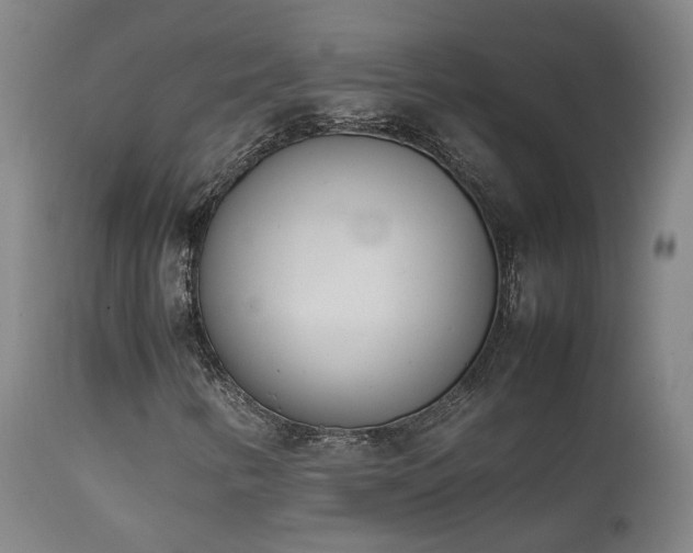 X0000111661346200907171559