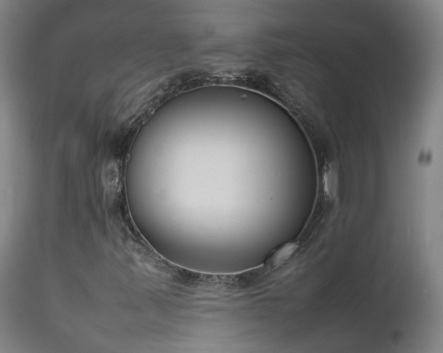 X0000111661347200907171559