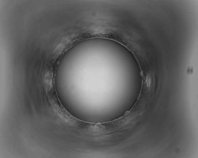 X0000111661348200907171559