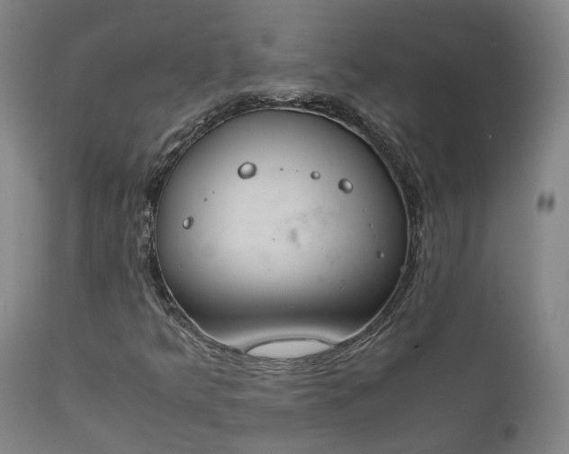 X0000111661349200907171559