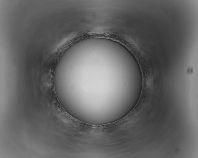 X0000111661350200907171559