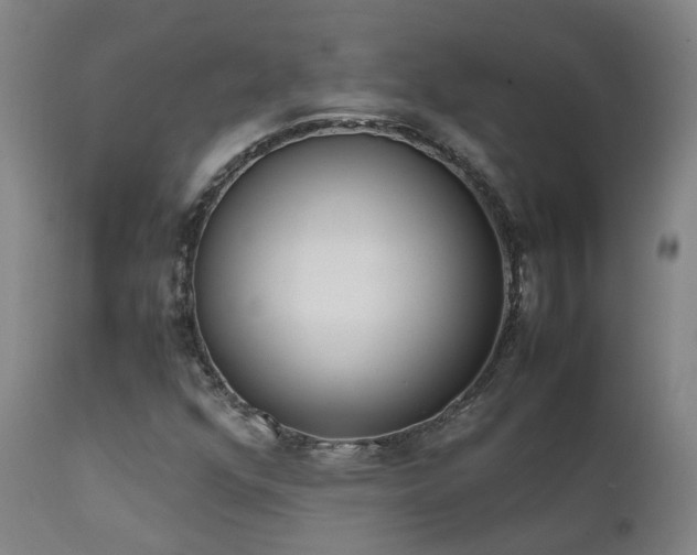 X0000111661352200907171559