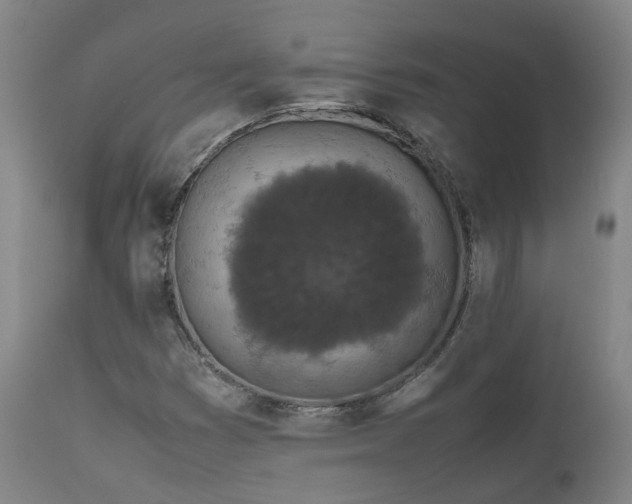 X0000111661353200907171559