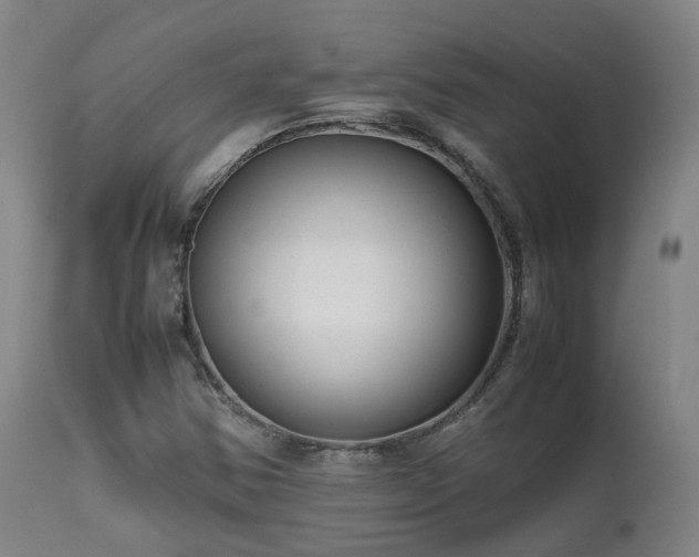 X0000111661354200907171559