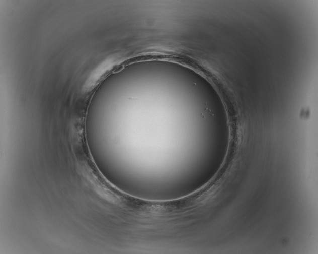 X0000111661355200907171559