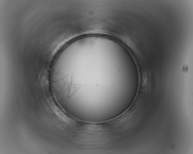 X0000111661356200907171559