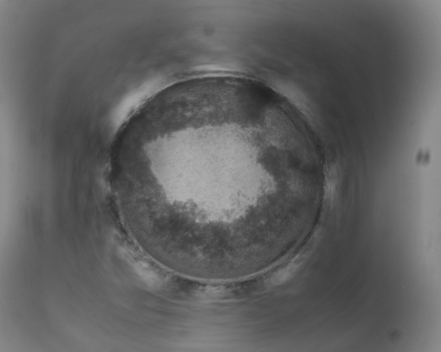 X0000111661357200907171559