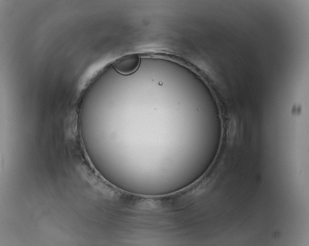 X0000111661358200907171559