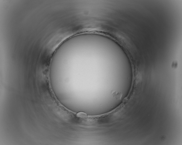 X0000111661361200907171559