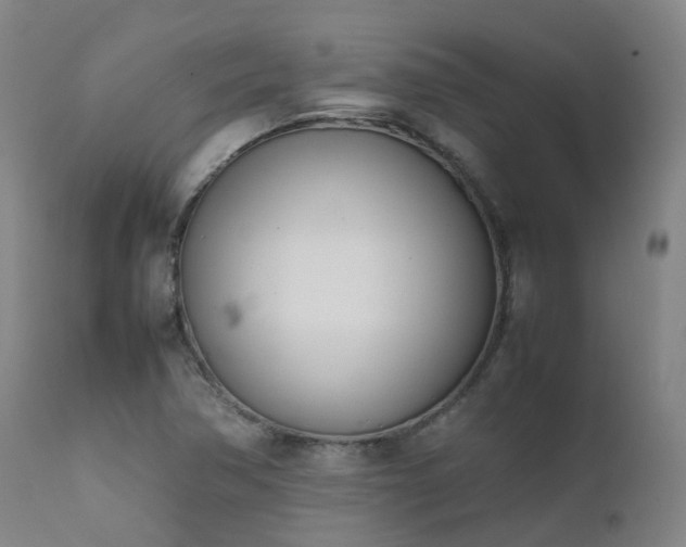 X0000111661362200907171559