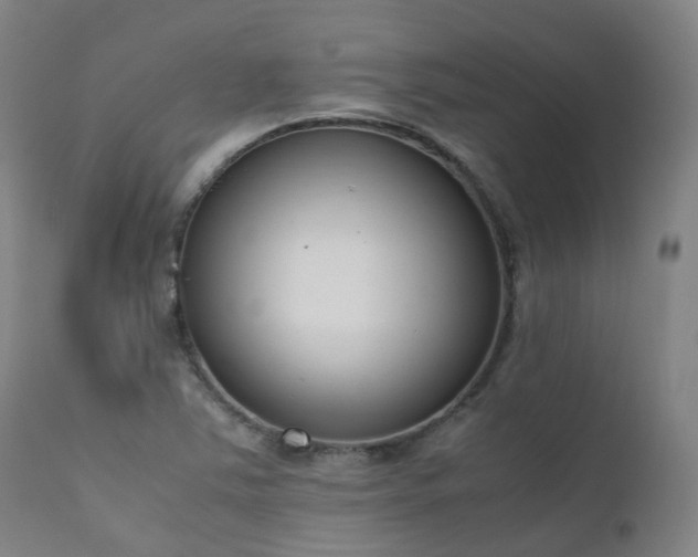 X0000111661363200907171559