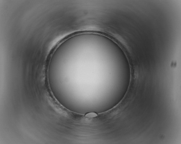 X0000111661364200907171559