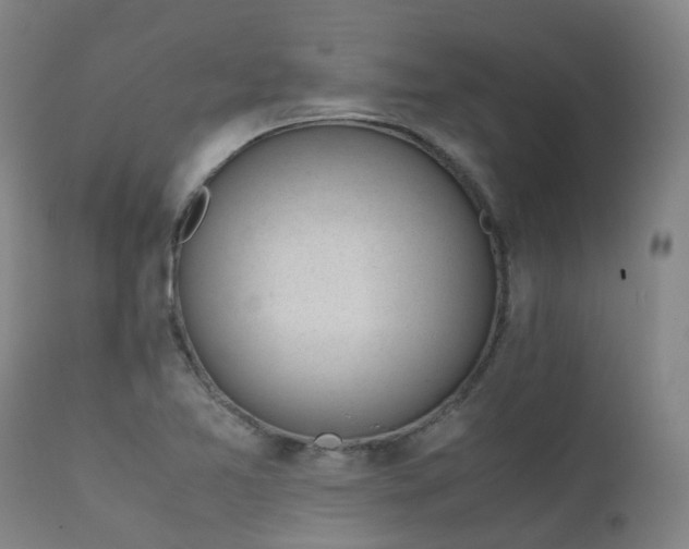 X0000111661365200907171559