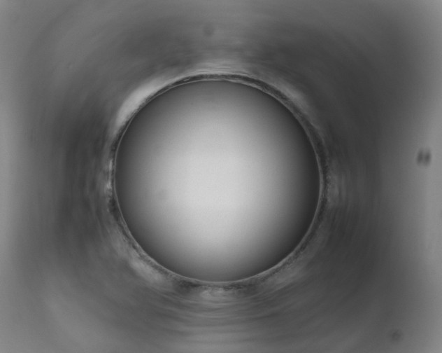 X0000111661366200907171559